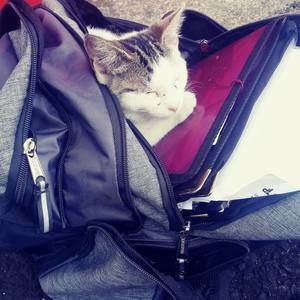 Meet your Posher, Susan